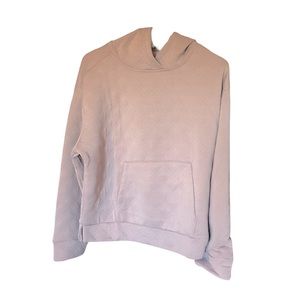 NWOT Blush Hoodie Sweater